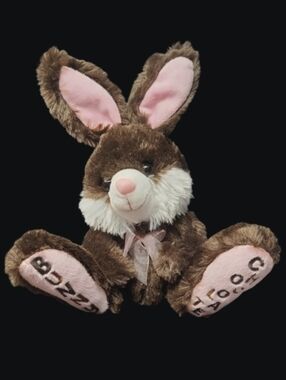 DANDEE - 12" COLLECTORS CHOICE SCENTED PLUSH CHOCOLATE BUNNY